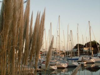 Port de plaisance