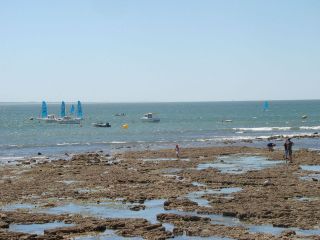 Pêche Île d'Oléron