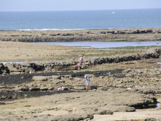 Pêche rochers