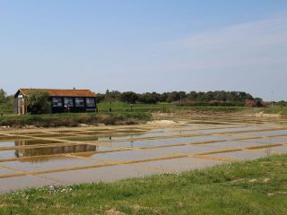 Marais salants