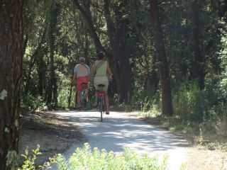 Promenade en vélo