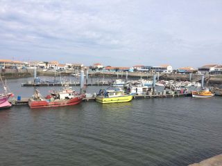 Port de la Cotinière