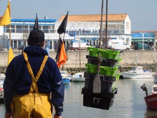 Le port de Saint Pierre d'Oléron