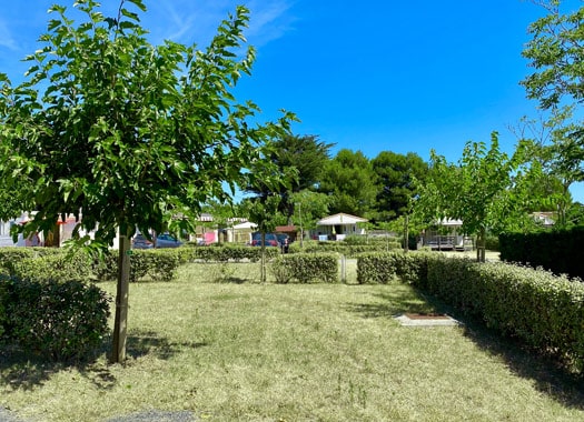 Emplacements camping Oléron